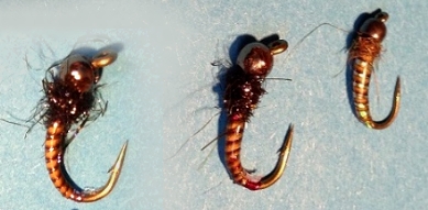 zollgendpol_nymph.jpg