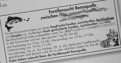 bachfeiglinge.jpg