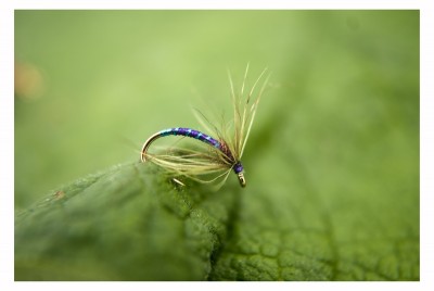 DSC_0077b [800x600].jpg