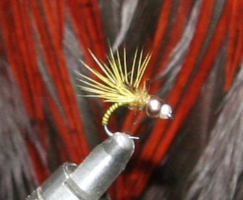 iro 003.JPG