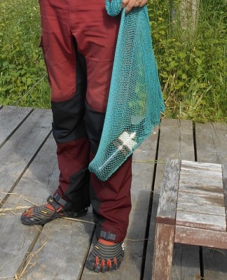 Fischen in Wathosen!