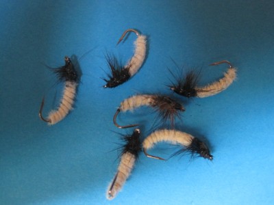 IMG_5001.JPG