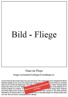 Gestaltungsraster FFF-Buch [800x600].jpg