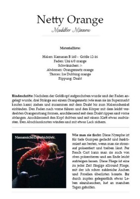 Beispiel_Gestaltungsraster FFF-Buch2 [800x600].jpg