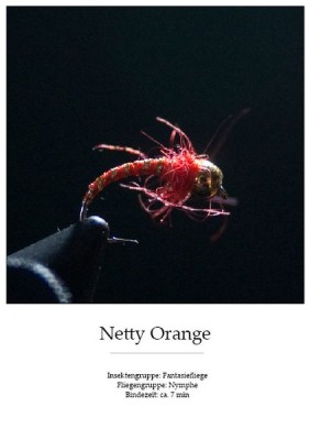 Beispiel_Gestaltungsraster FFF-Buch [800x600].jpg