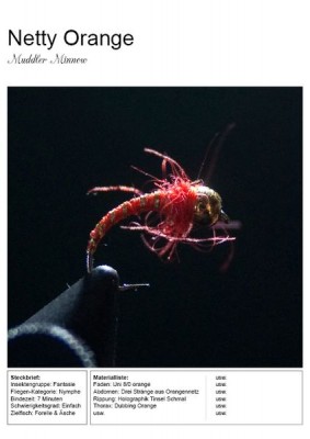 Gestaltungsraster_FFF_Buch_5_8 [800x600].jpg