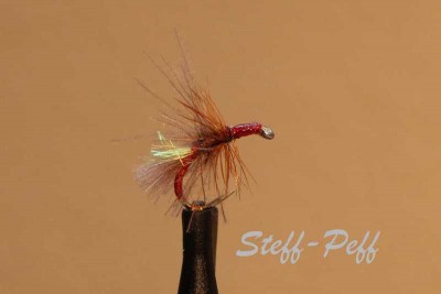 IMG_7037 red grayling attractor_2.jpg