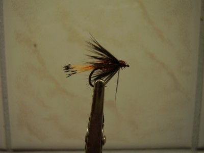 P1010007.JPG