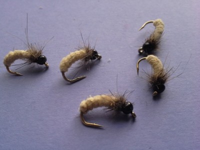 20140824_111439.jpg