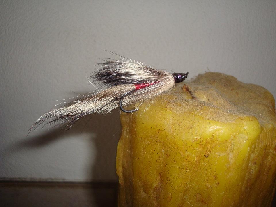 Wäre gedacht für Stellhead forellen,Alpenrhein.