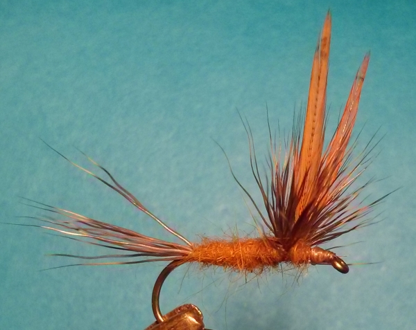 Haystack Adams Compara Dun Variante.jpg