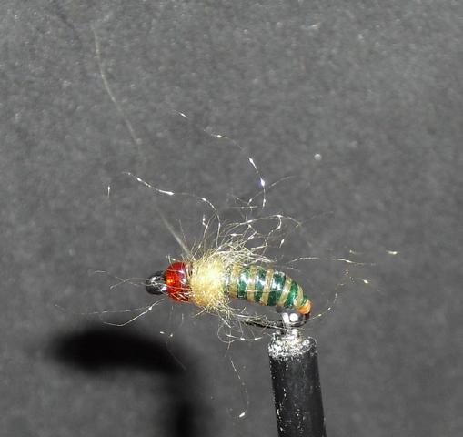 02_aa25 001.JPG