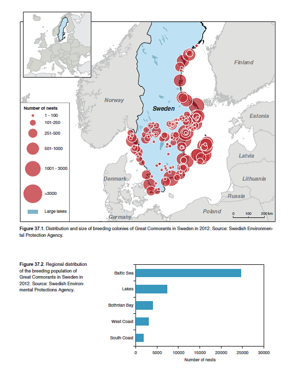 Kormoran in Schweden.png
