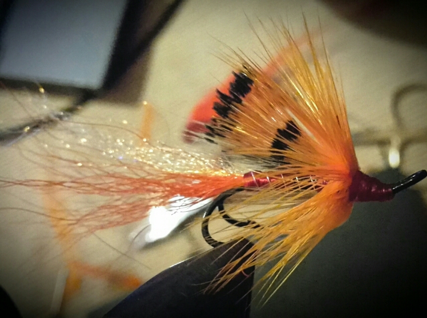 2015-02-19 21.08.59.jpg