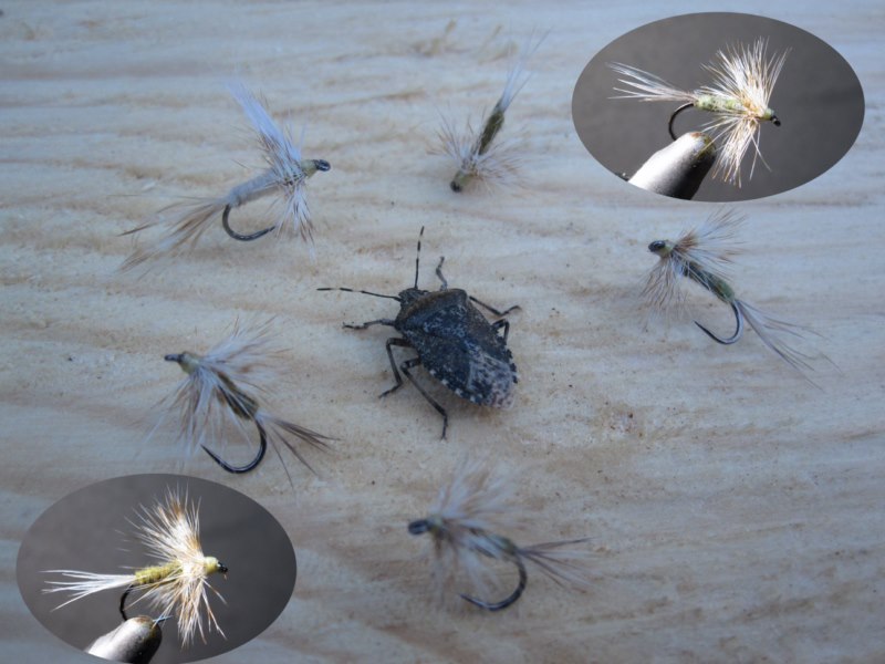 Trocken [800x600].jpg