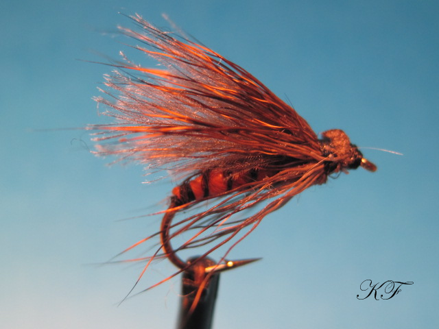 Sedge a la f.X.Ortner