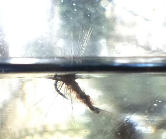 Test 0051.JPG