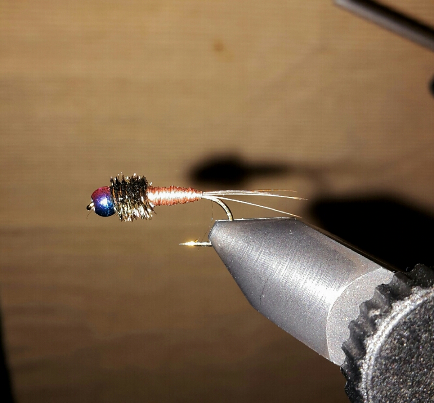 2015-03-02 18.50.09.jpg