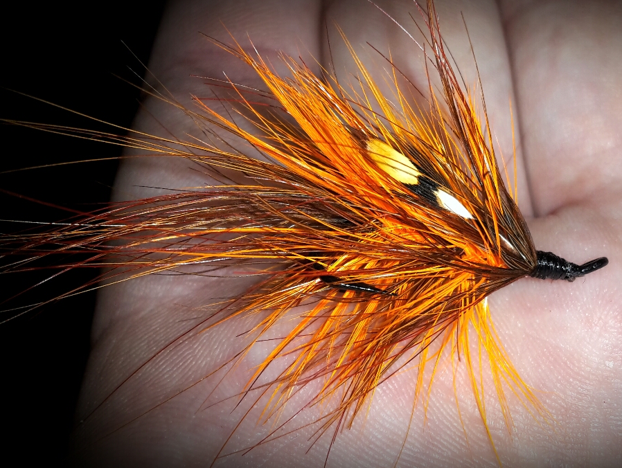 2015-03-03 21.30.25.jpg