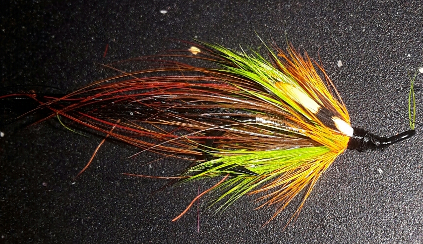 2015-03-04 21.46.31-1.jpg