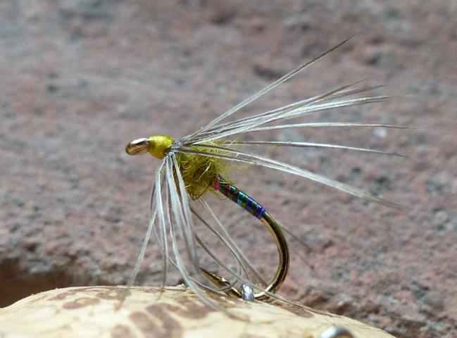 rainbow_flash_hackle 0041.JPG