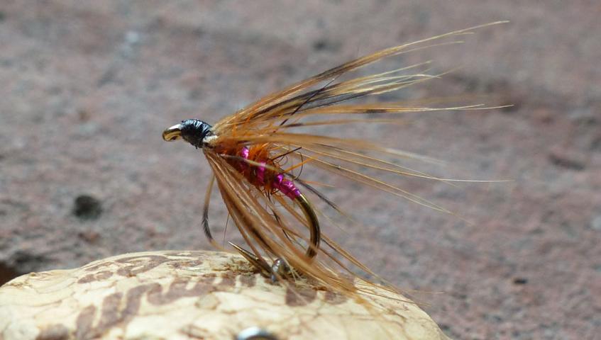 rusty_brown_hackle 0101.JPG