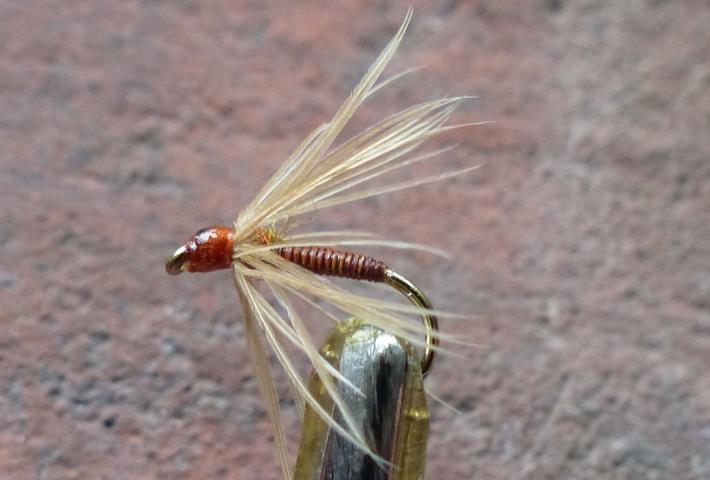 Soft_Hackles 0201.JPG