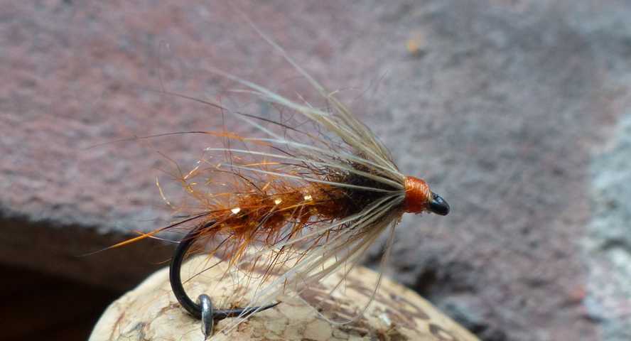 Pupas 0071.JPG