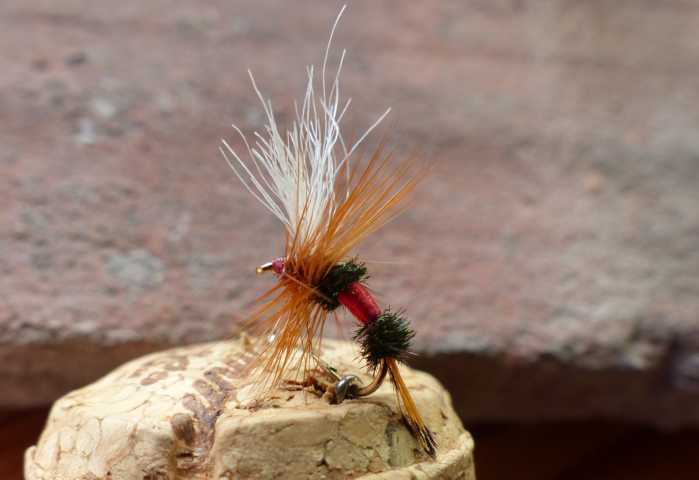 Royal Wulff 0141.JPG