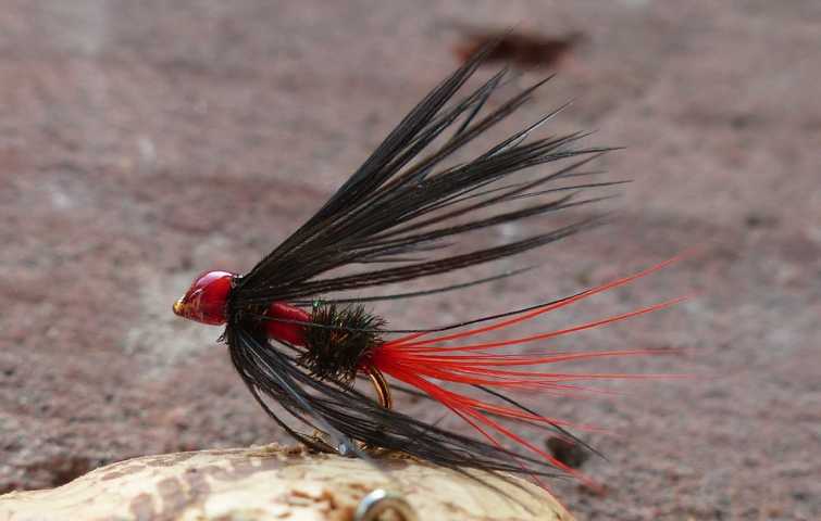 Royal Wulff 0201.JPG