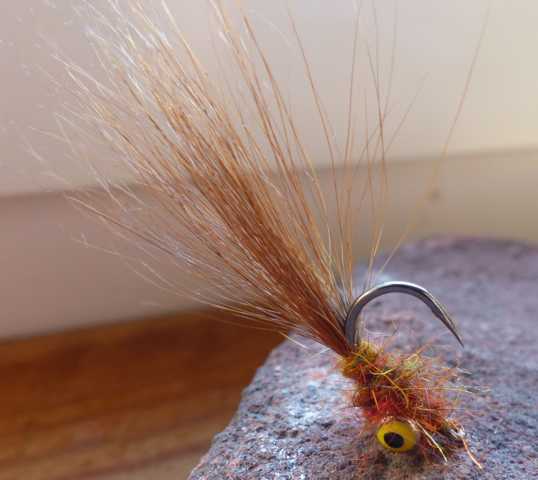 Karpfenfliegen 0061.JPG