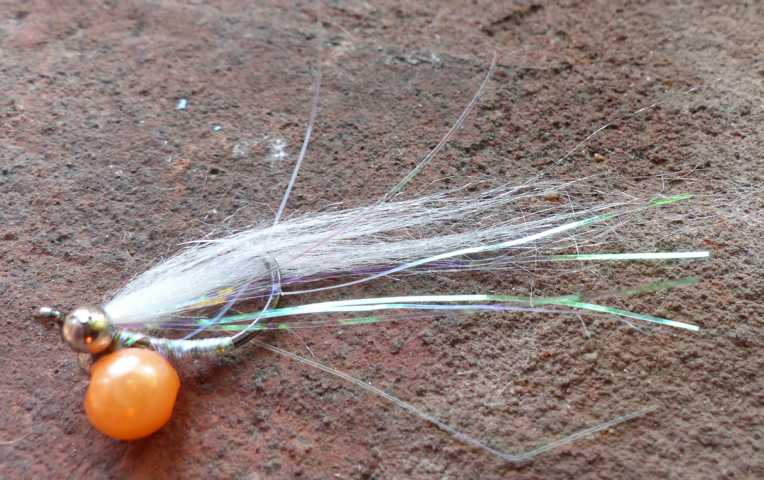 Karpfenfliegen 2 0161.JPG