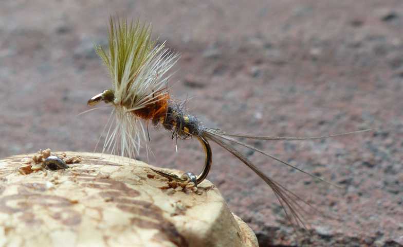 March Brown Varianten 0021.JPG
