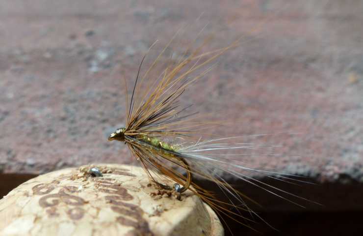 Squirrel Experiment 0101.JPG