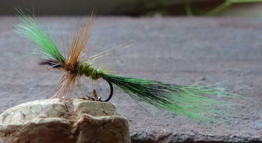 Green Squirrel May Fly 0152.JPG