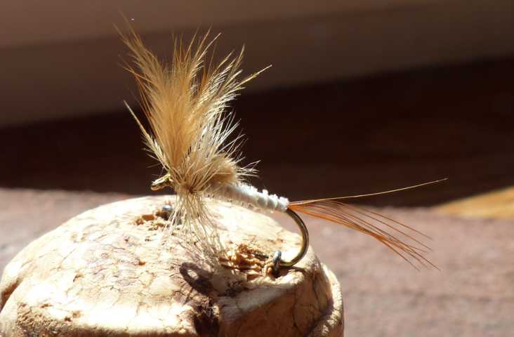 Flaum Dry Fly 0181.JPG