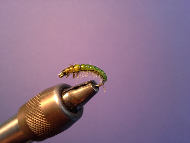 Caddis #12