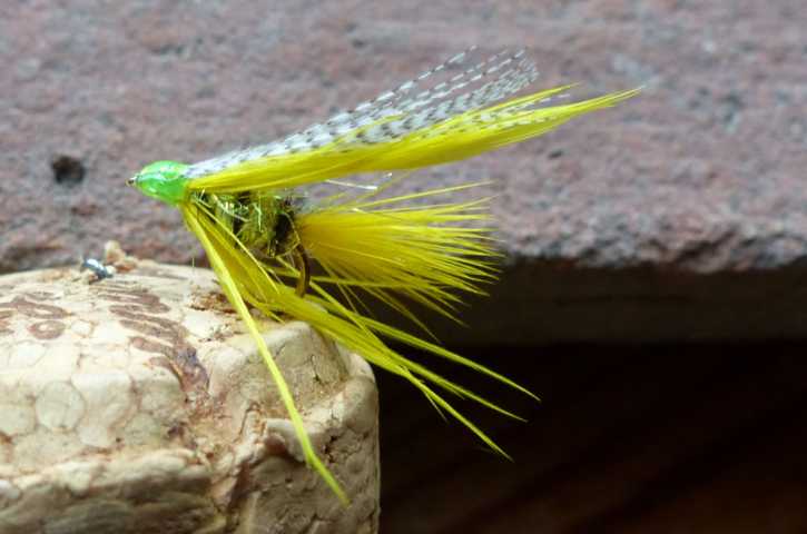 Wet-Fly 0281.JPG