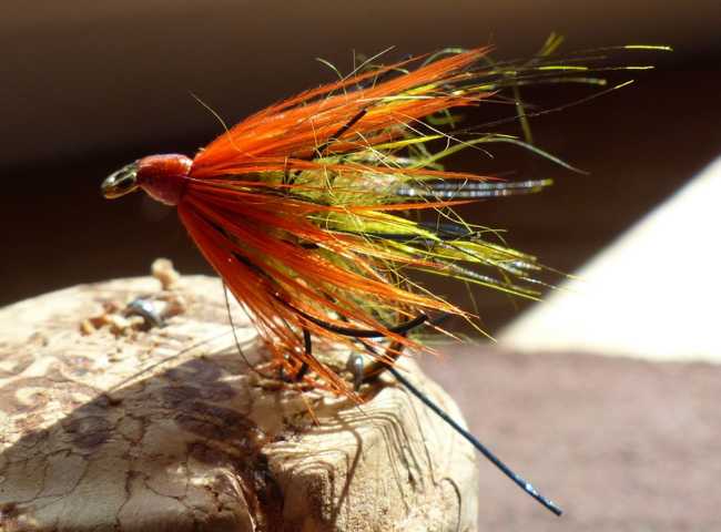 Wet-Fly 1 0062.JPG