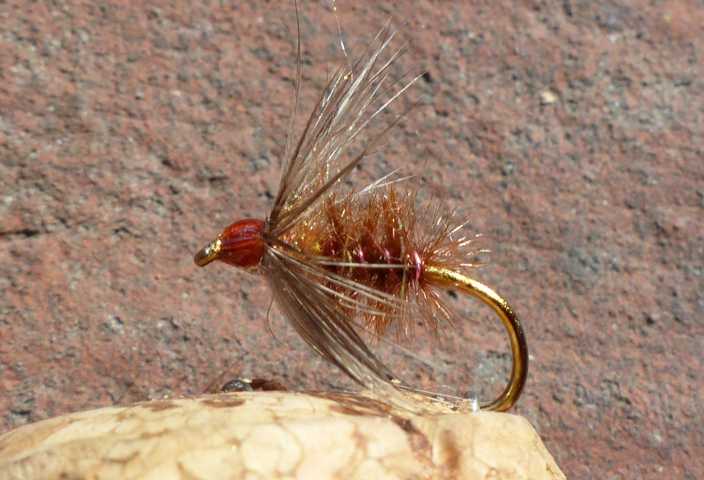 Wet-Fly 1 0081.JPG
