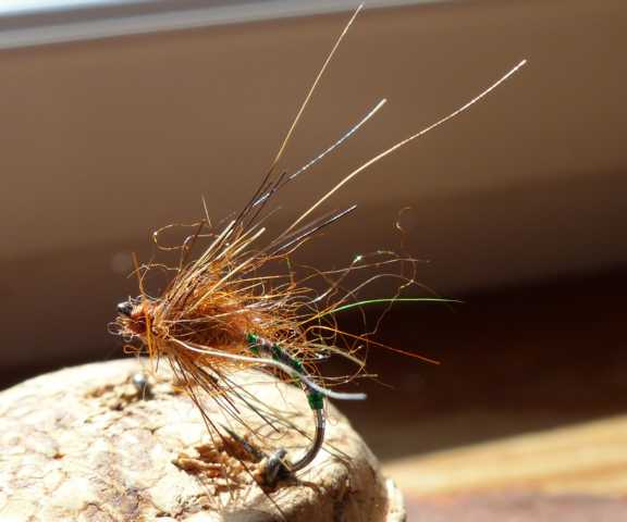 Kreative Emerger 0071.JPG