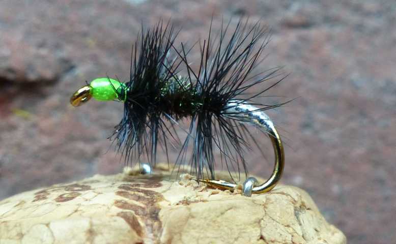 Black Renegade 0011.JPG