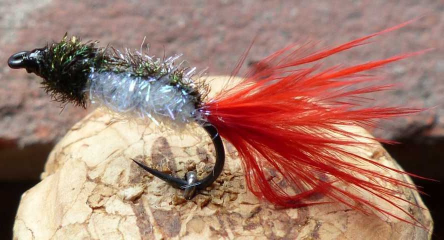 Minnow 0022.jpg