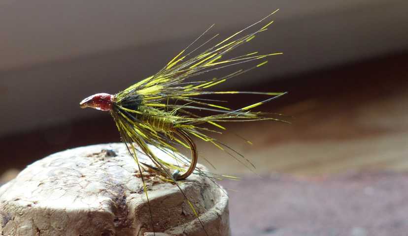 Mayfly-Wet Fly  0031.JPG