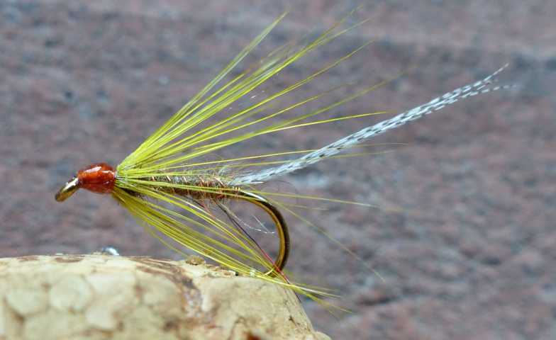 Mayfly_Flymph 0051.JPG
