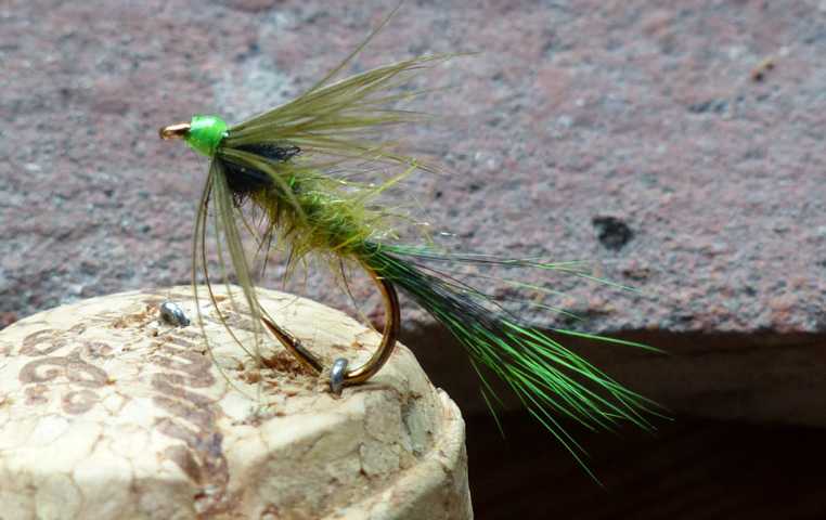 The Golden Olive Wet 0031.JPG