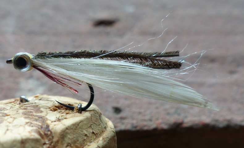 Brutfisch 0032.JPG