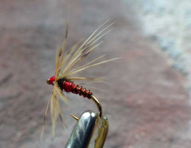 Red and Copper_Wire Wet 0041.JPG