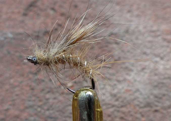 Hare's_Ear_Emerger 0051.JPG