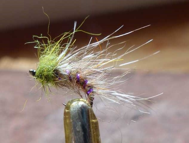 Olive_Emerger 0081.JPG